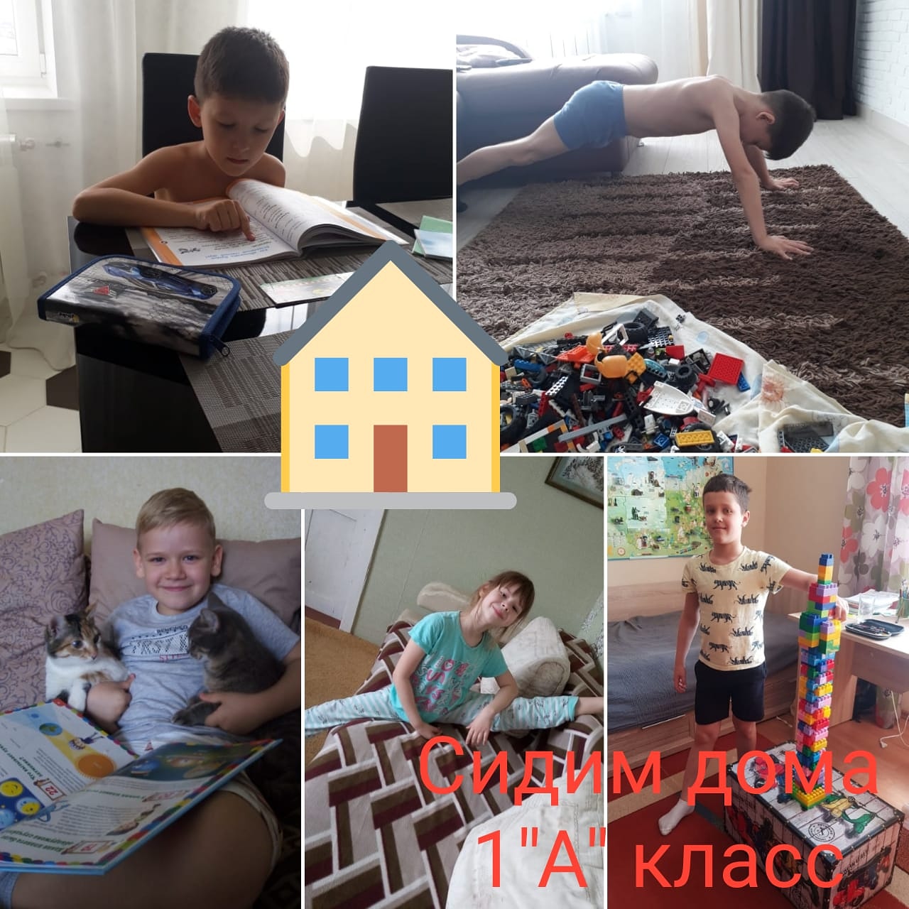 цц