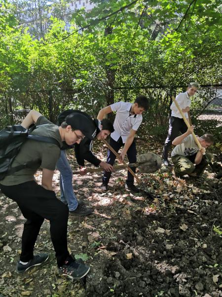 aa